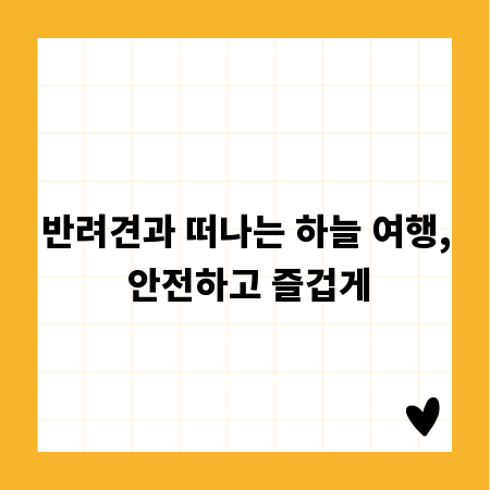 반려견과 떠나는 하늘 여행, 안전하고 즐겁게