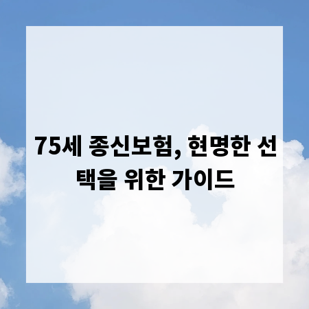 75세 종신보험, 현명한 선택을 위한 가이드