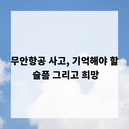 무안항공 사고, 기억해야 할 슬픔 그리고 희망