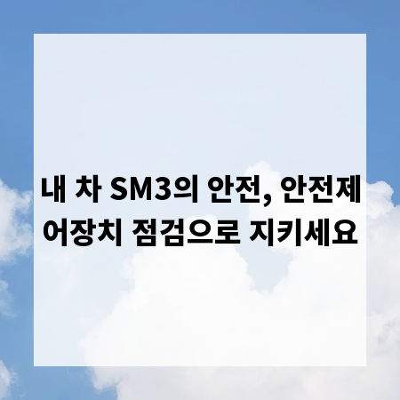 내 차 SM3의 안전, 안전제어장치 점검으로 지키세요