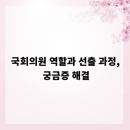 국회의원 역할과 선출 과정, 궁금증 해결