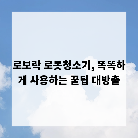 로보락 로봇청소기, 똑똑하게 사용하는 꿀팁 대방출