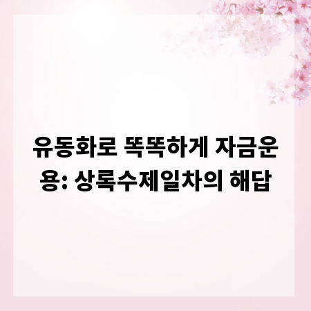 유동화로 똑똑하게 자금운용: 상록수제일차의 해답