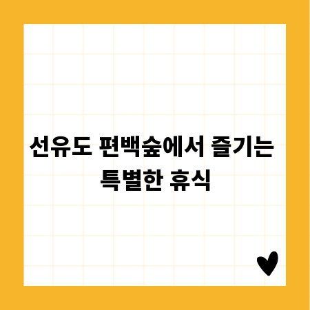 선유도 편백숲에서 즐기는 특별한 휴식