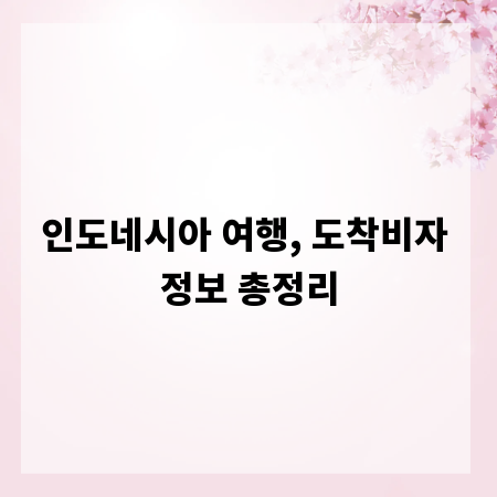 인도네시아 여행, 도착비자 정보 총정리