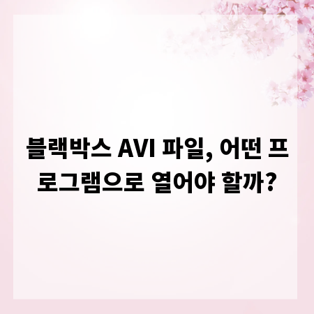 블랙박스 AVI 파일, 어떤 프로그램으로 열어야 할까?