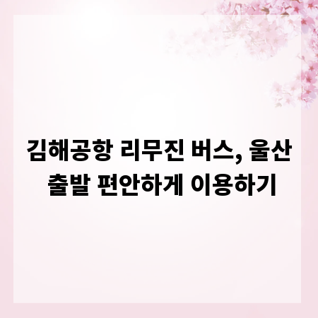 김해공항 리무진 버스, 울산 출발 편안하게 이용하기