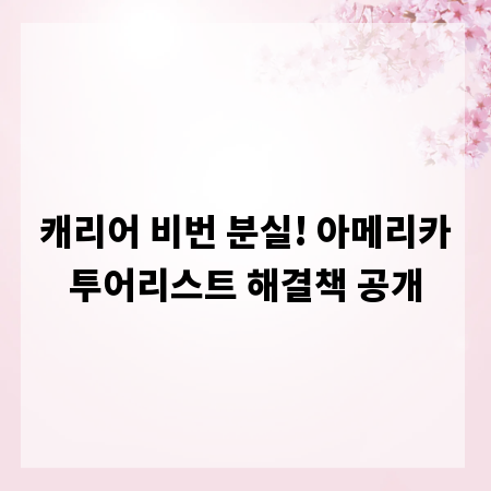 캐리어 비번 분실! 아메리카투어리스트 해결책 공개