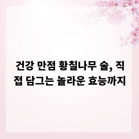 건강 만점 황칠나무 술, 직접 담그는 놀라운 효능까지
