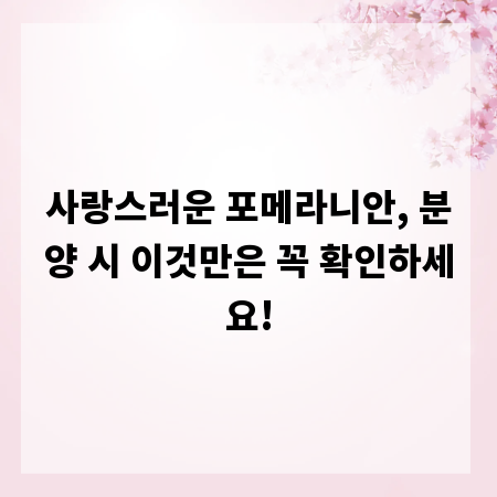 사랑스러운 포메라니안, 분양 시 이것만은 꼭 확인하세요!