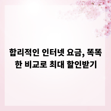 합리적인 인터넷 요금, 똑똑한 비교로 최대 할인받기