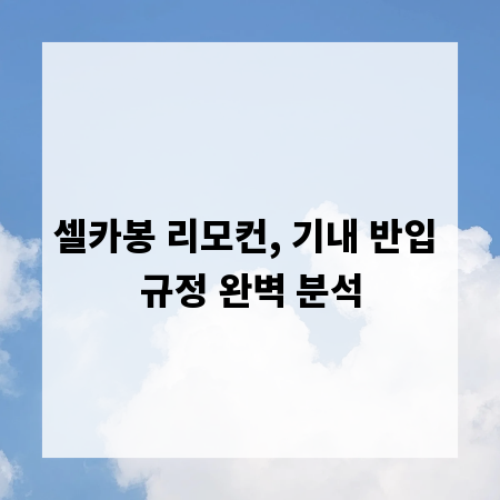 셀카봉 리모컨, 기내 반입 규정 완벽 분석