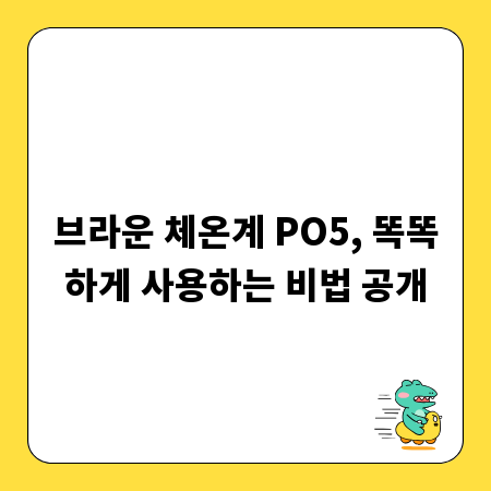 브라운 체온계 PO5, 똑똑하게 사용하는 비법 공개