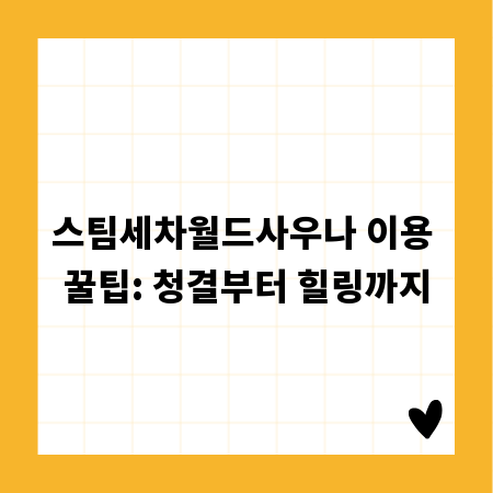 스팀세차월드사우나 이용 꿀팁: 청결부터 힐링까지