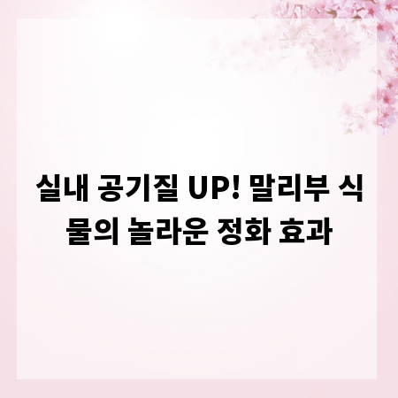 실내 공기질 UP! 말리부 식물의 놀라운 정화 효과