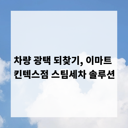 차량 광택 되찾기, 이마트 킨텍스점 스팀세차 솔루션