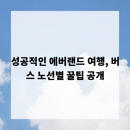 성공적인 에버랜드 여행, 버스 노선별 꿀팁 공개