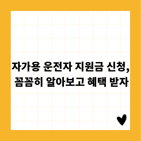 자가용 운전자 지원금 신청, 꼼꼼히 알아보고 혜택 받자