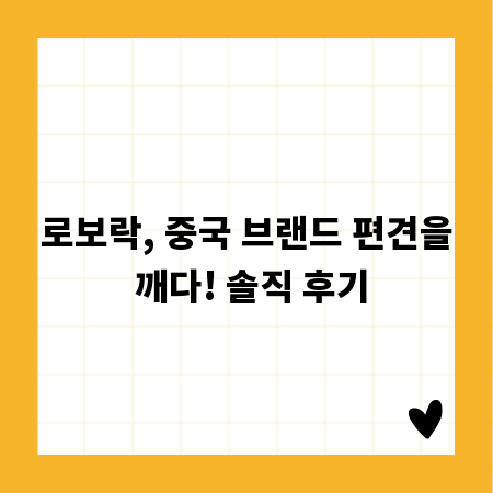 로보락, 중국 브랜드 편견을 깨다! 솔직 후기