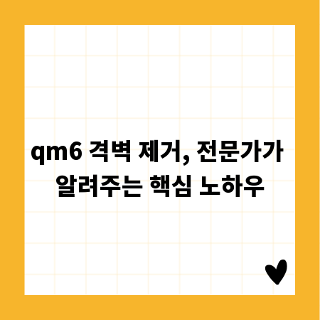qm6 격벽 제거, 전문가가 알려주는 핵심 노하우