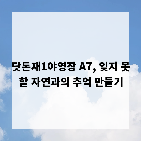 닷돈재1야영장 A7, 잊지 못할 자연과의 추억 만들기