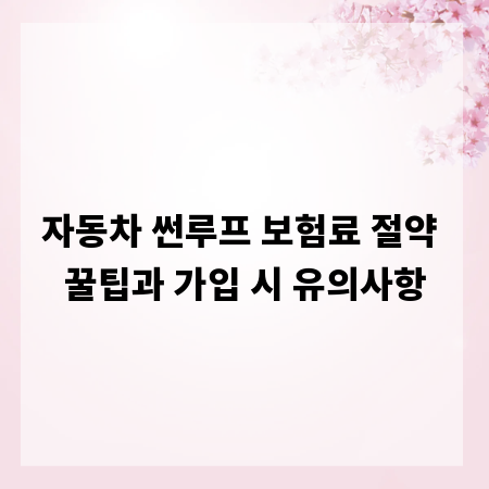 자동차 썬루프 보험료 절약 꿀팁과 가입 시 유의사항
