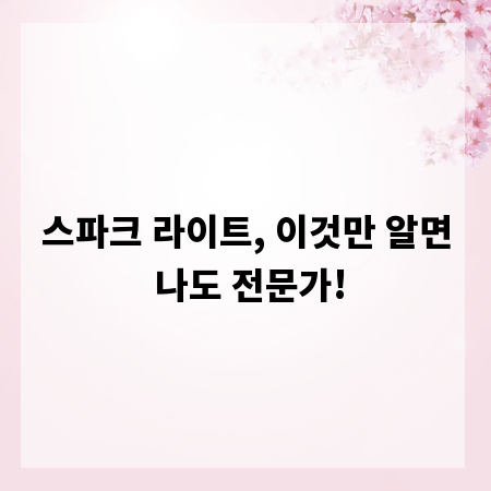 스파크 라이트, 이것만 알면 나도 전문가!