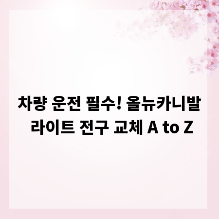 차량 운전 필수! 올뉴카니발 라이트 전구 교체 A to Z