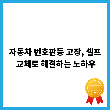 자동차 번호판등 고장, 셀프 교체로 해결하는 노하우