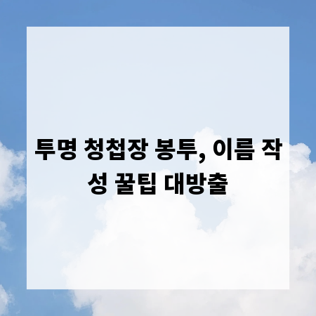 투명 청첩장 봉투, 이름 작성 꿀팁 대방출