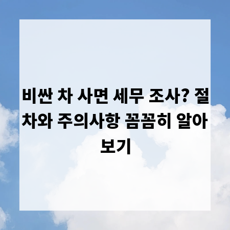 비싼 차 사면 세무 조사? 절차와 주의사항 꼼꼼히 알아보기