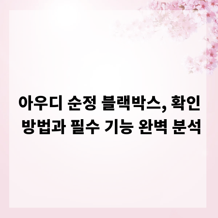 아우디 순정 블랙박스, 확인 방법과 필수 기능 완벽 분석