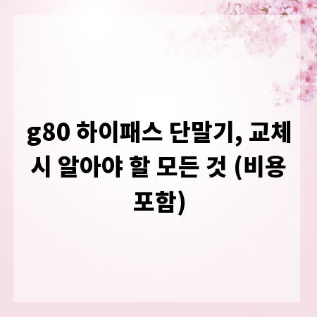 g80 하이패스 단말기, 교체 시 알아야 할 모든 것 (비용 포함)