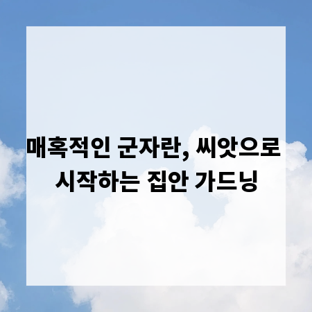 매혹적인 군자란, 씨앗으로 시작하는 집안 가드닝