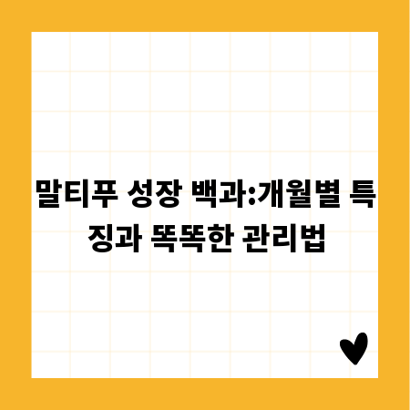 말티푸 성장 백과:개월별 특징과 똑똑한 관리법