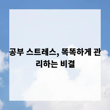 공부 스트레스, 똑똑하게 관리하는 비결