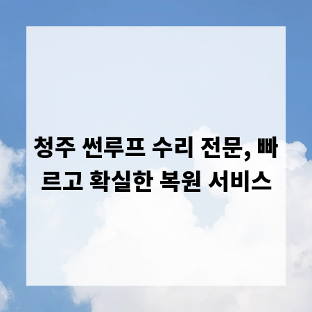 청주 썬루프 수리 전문, 빠르고 확실한 복원 서비스