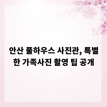 안산 풀하우스 사진관, 특별한 가족사진 촬영 팁 공개