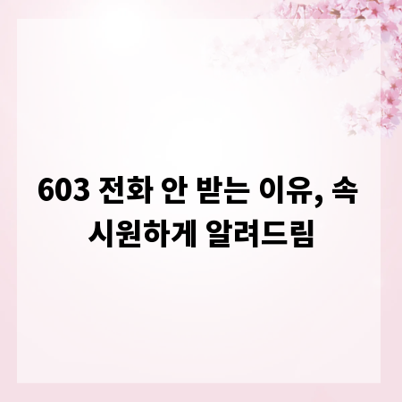 603 전화 안 받는 이유, 속 시원하게 알려드림