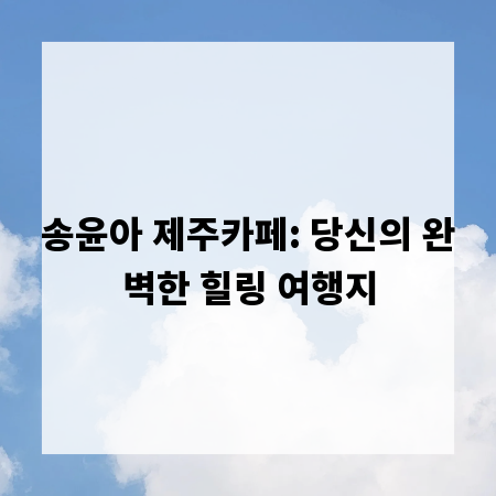 송윤아 제주카페: 당신의 완벽한 힐링 여행지