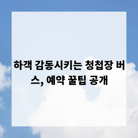 하객 감동시키는 청첩장 버스, 예약 꿀팁 공개