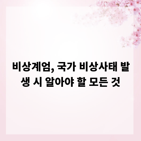 비상계엄, 국가 비상사태 발생 시 알아야 할 모든 것