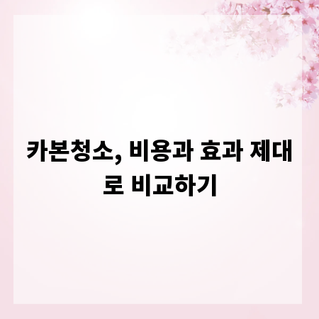카본청소, 비용과 효과 제대로 비교하기
