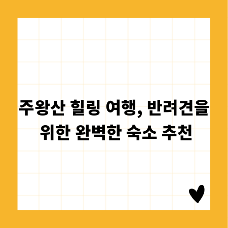 주왕산 힐링 여행, 반려견을 위한 완벽한 숙소 추천