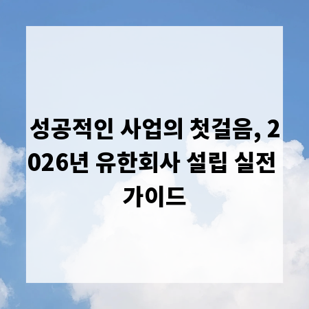 성공적인 사업의 첫걸음, 2026년 유한회사 설립 실전 가이드