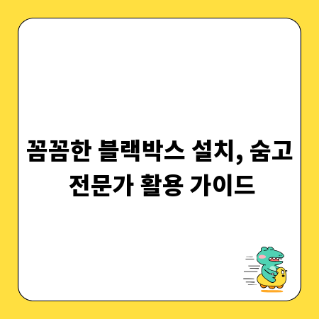 꼼꼼한 블랙박스 설치, 숨고 전문가 활용 가이드
