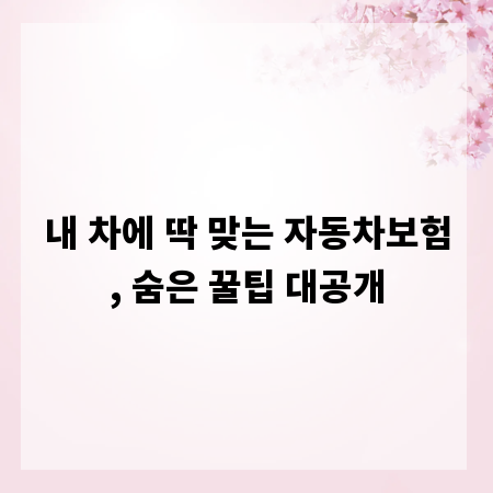 내 차에 딱 맞는 자동차보험, 숨은 꿀팁 대공개