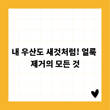 내 우산도 새것처럼! 얼룩 제거의 모든 것