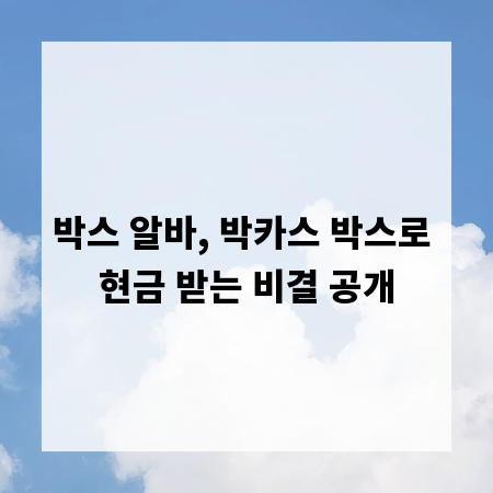 박스 알바, 박카스 박스로 현금 받는 비결 공개