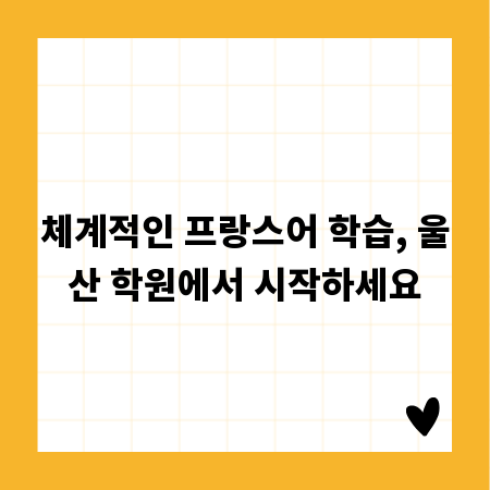 체계적인 프랑스어 학습, 울산 학원에서 시작하세요